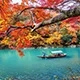 半岛体育直播APP