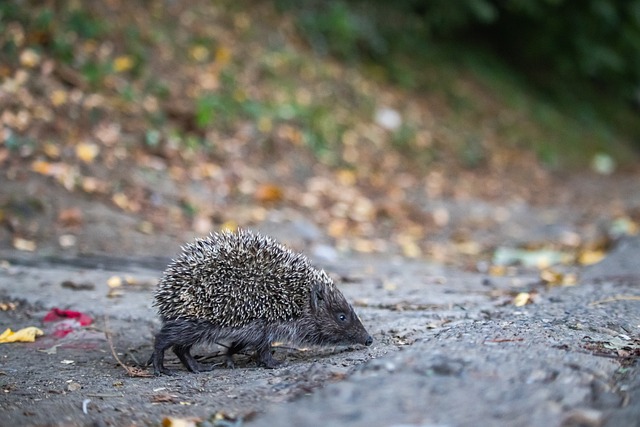 半岛体育·(中国)官方网站-BANDAO SPORTS